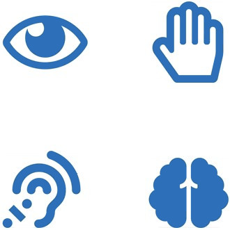 Icons: Auge, Hand, Ohr, Gehirn.